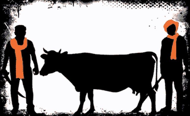 Cow-Gau-Rakshak.jpg