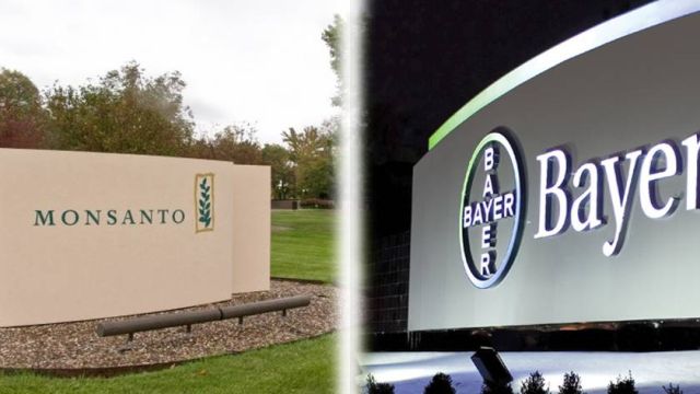 'Global merger of Bayer CropScience and Monsanto needs Indian approval'