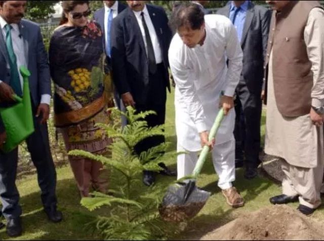 Pakistan-kicks-off-tree-plantation-campaign-against-climate-change.jpg