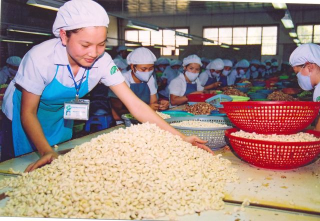 Vietnams-cashew-cashew.jpg