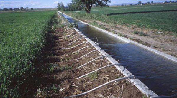 irrigation.png