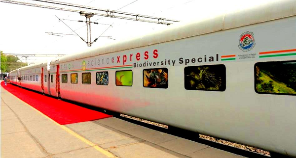 Tiger Express – a roaring journey, blissful experience
