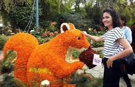 Three-day Garden Tourism Festival begins at Garden of Five Senses